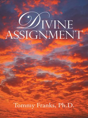 cover image of Divine Assignment